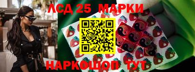 2c-b Моздок
