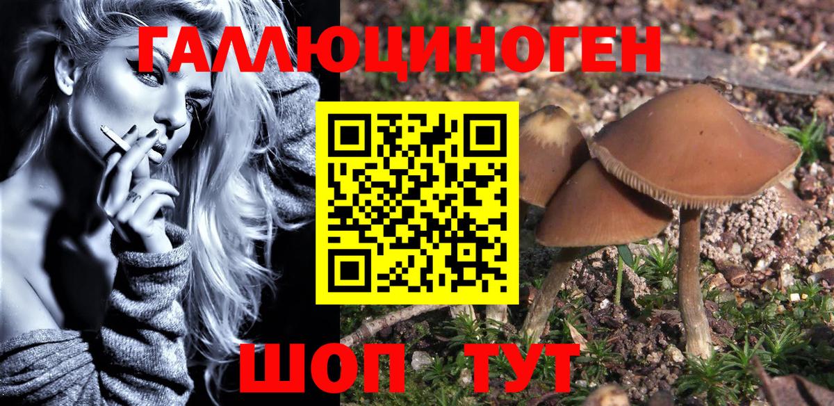 где продают   Галлюциногенные грибы мухоморы  Вход с VPN  Усолье-Сибирское  Псилоцибиновые грибы Psilocybine cubensis 
