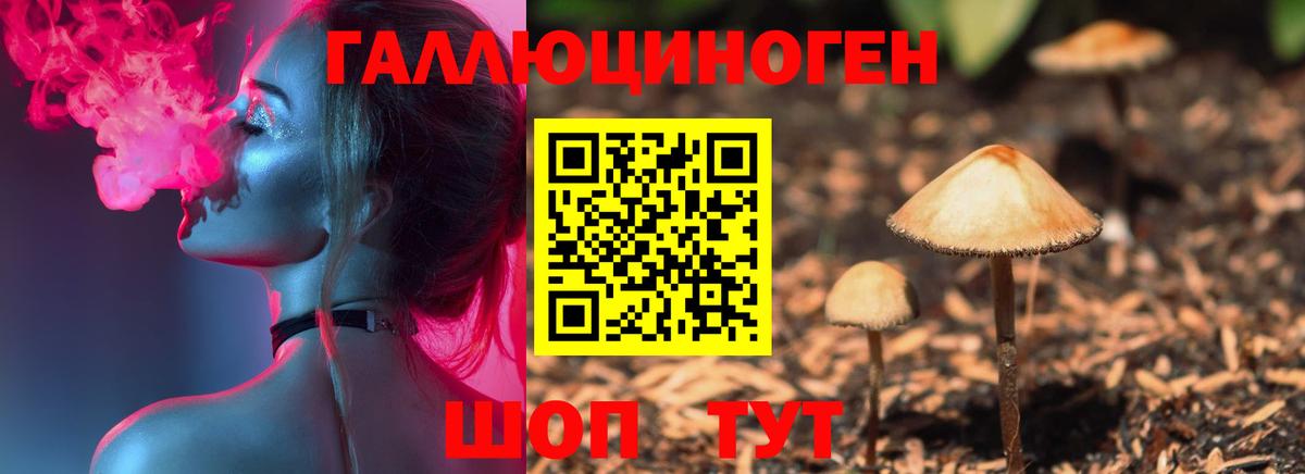 Галлюциногенные грибы GOLDEN TEACHER Усолье-Сибирское