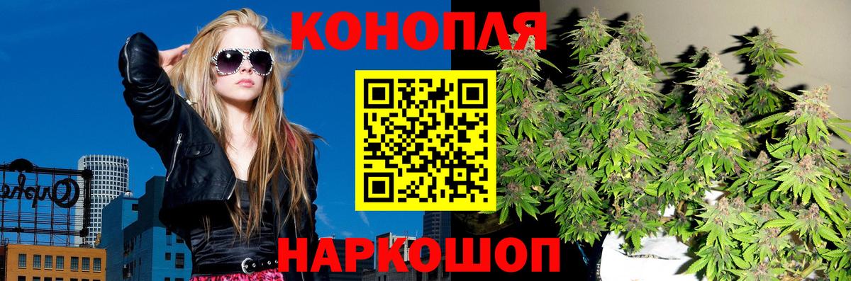 Конопля сатива Усолье-Сибирское